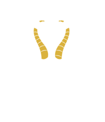 META-Film-Fest-Logo